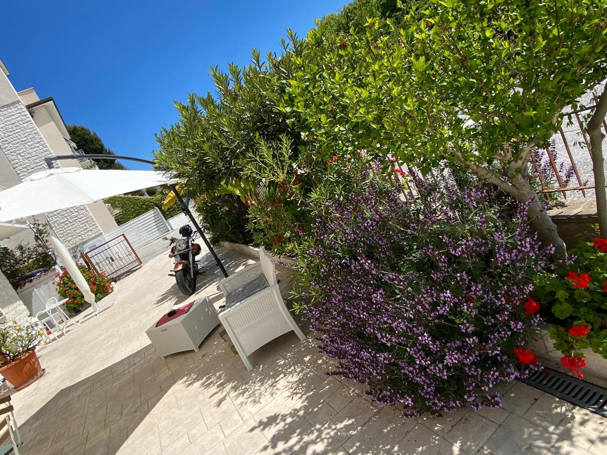 LaGarolina Del Conero B&B Sirolo Exterior foto